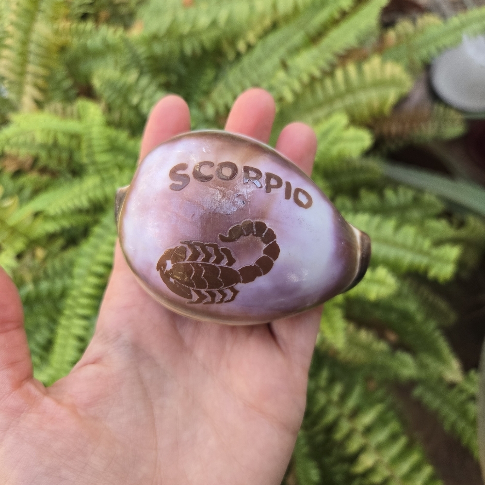Vintage Handcarved Scorpio Zodiac Scorpion Shell Decoration
